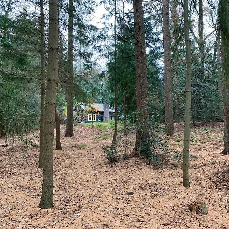Landgoed De Heezeberg Villa Diever Exterior photo