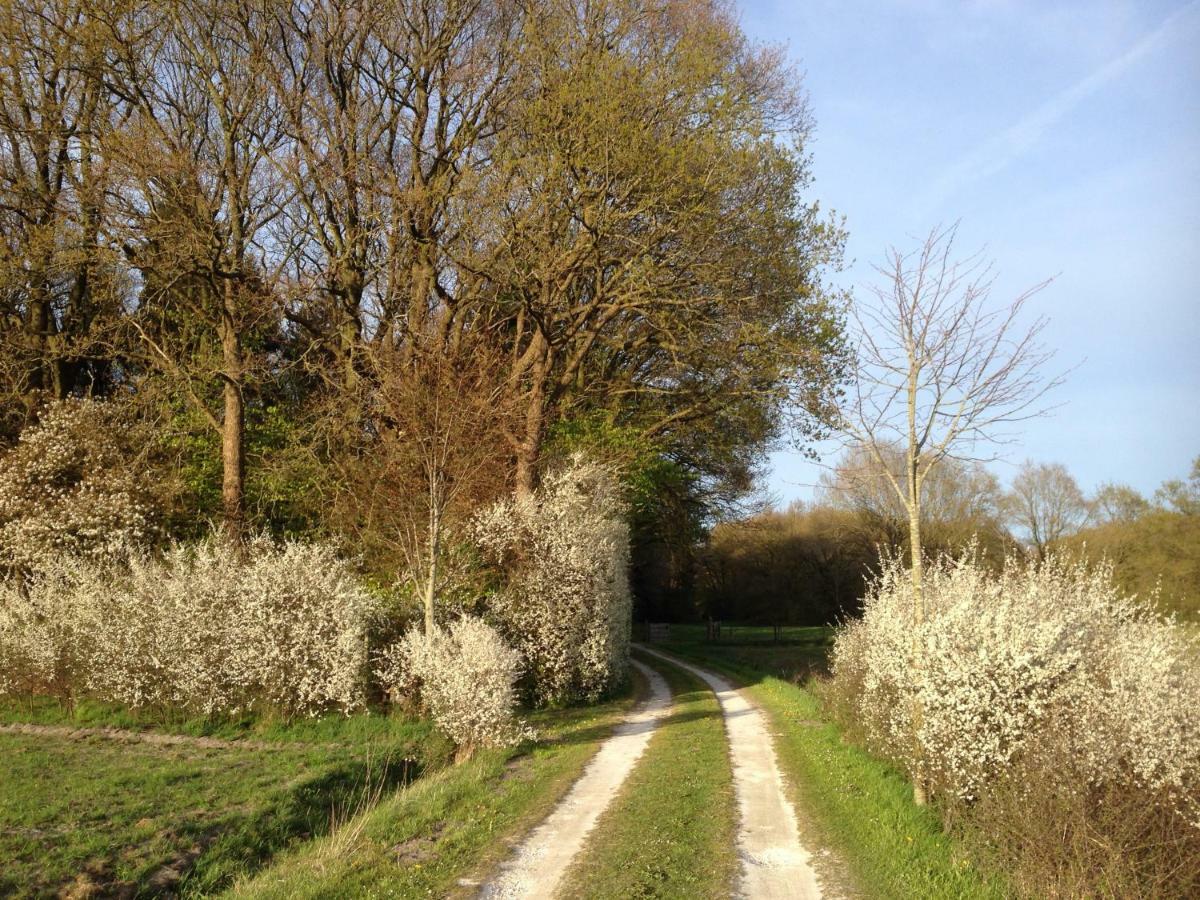 Landgoed De Heezeberg Diever